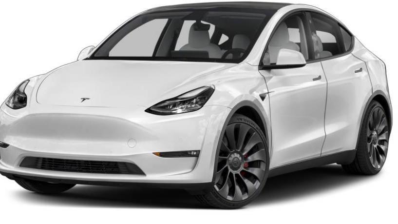 TESLA MODEL Y 2023 7SAYGDEE8PF766258 image